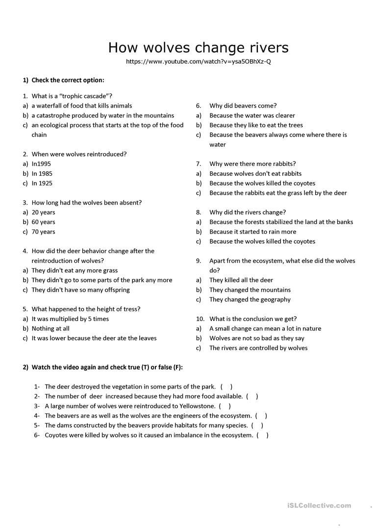 How Wolves Change Rivers Worksheet  Free Esl Printable Worksheets For Wolves In Yellowstone Student Worksheet Answers