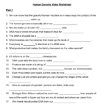 Human Genome Video Guide And Human Genome Video Worksheet Answers