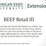 Identification Of Beef Retail Cuts Inside Beef Primal Cuts Worksheet Answers