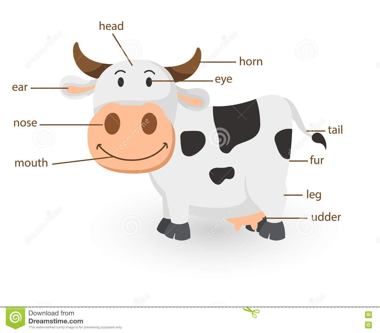 Illustration Of Cow Vocabulary Part Of Body Stock Vector Also Parts Of A Dairy Cow Worksheet