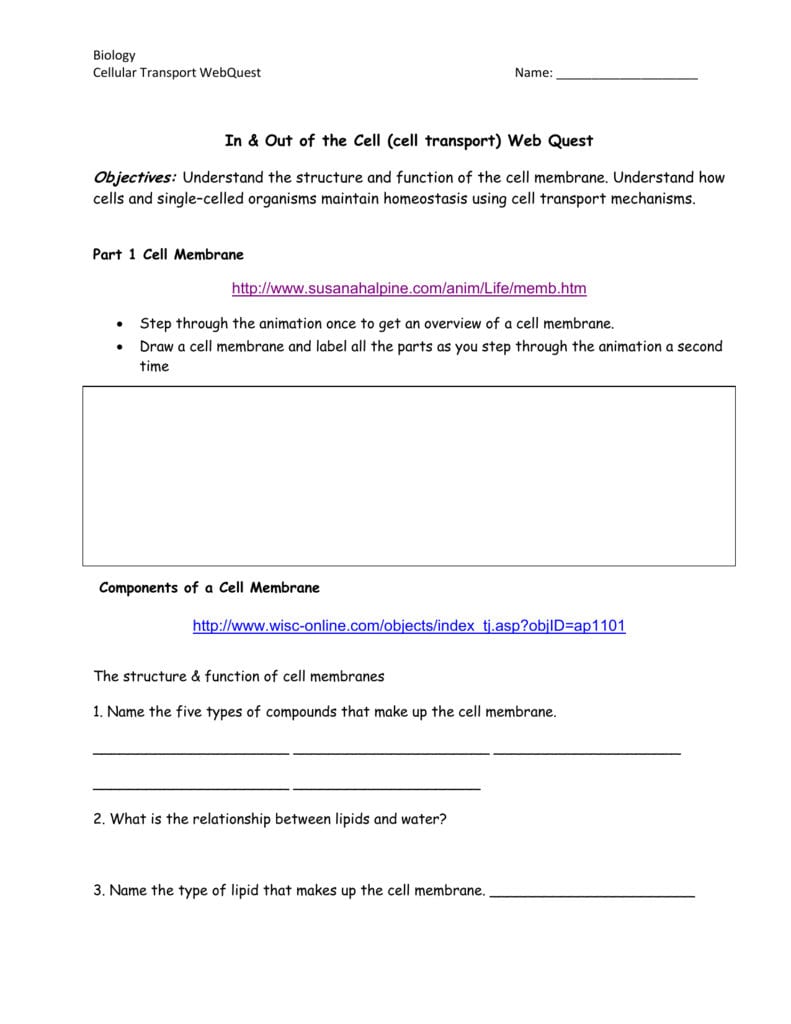 In  Out Of The Cell Cell Transport Web Quest Http Along With Cell Transport Webquest Worksheet Answers
