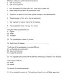 Inside The Cell Video Worksheet As Well As Inside The Eukaryotic Cell Worksheet Answers