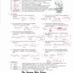 Introduction To Accuracy And Precision Activity Pertaining To Accuracy And Precision Worksheet Answers