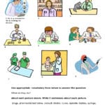 Jobs In Medicine Vocabulary Worksheet For Students For Health Worksheets Pdf