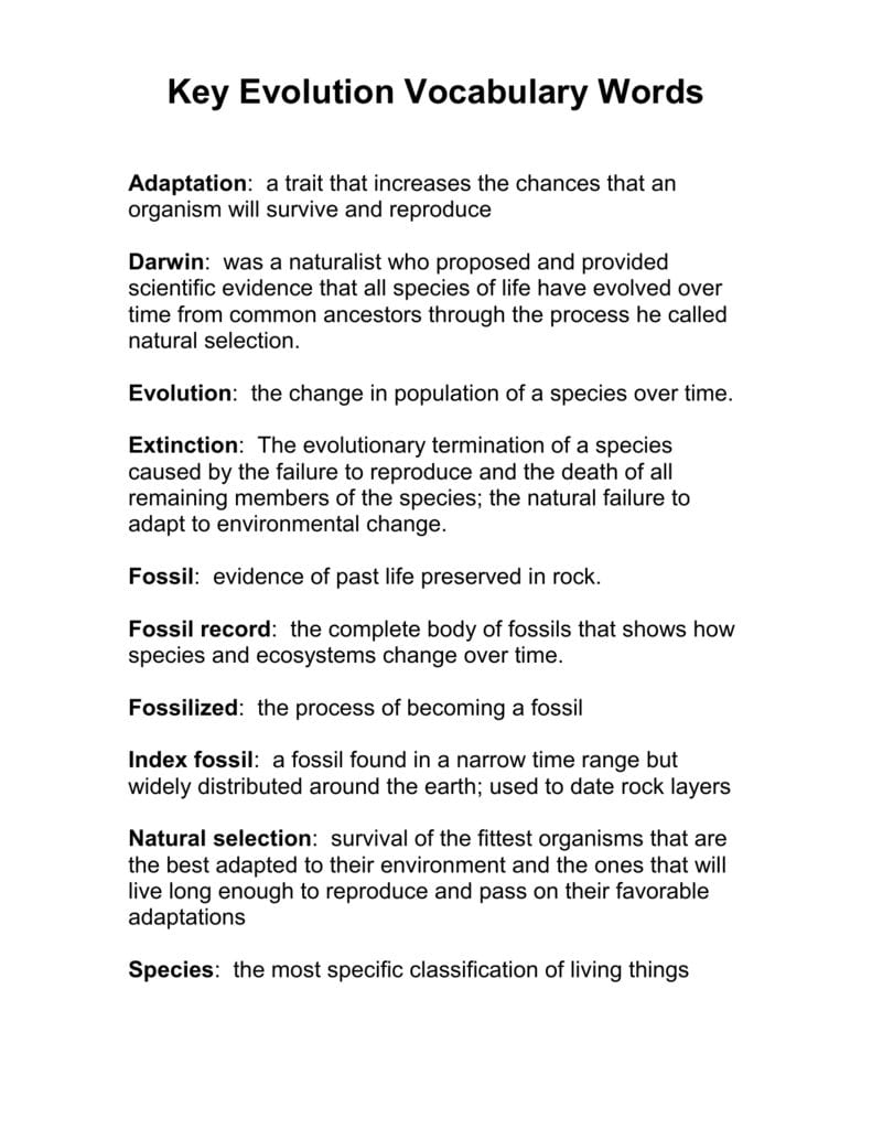 Key Evolution Vocabulary Words For Evolution Vocabulary Worksheet