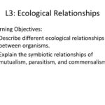 L3 Ecological Relationships  Ppt Download And Ecological Relationships Worksheet