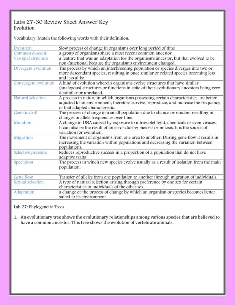 Labs 2730 Review Sheet Answer Key Evolution Vocabulary Match With Evolution Vocabulary Worksheet