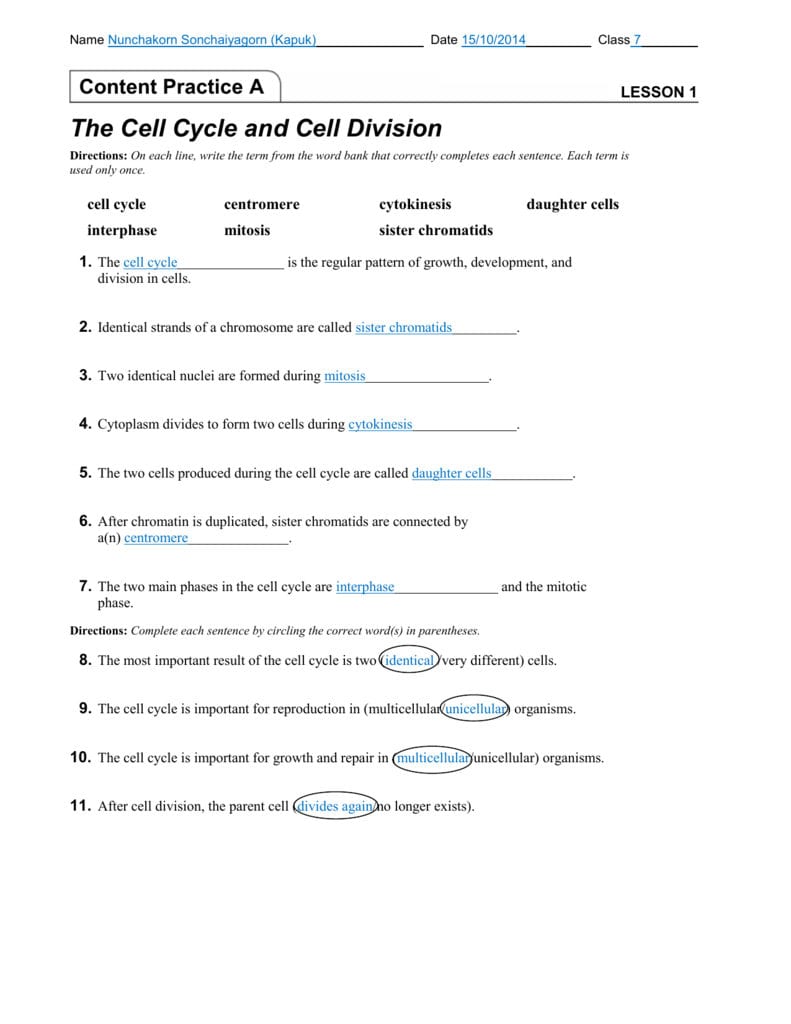 Lesson 1  The Cell Cycle And Cell Division  Kapuk's E For Cell Cycle Worksheet Answer Key