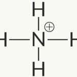 List Of Common Polyatomic Ions Pertaining To Naming Compounds Containing Polyatomic Ions Worksheet