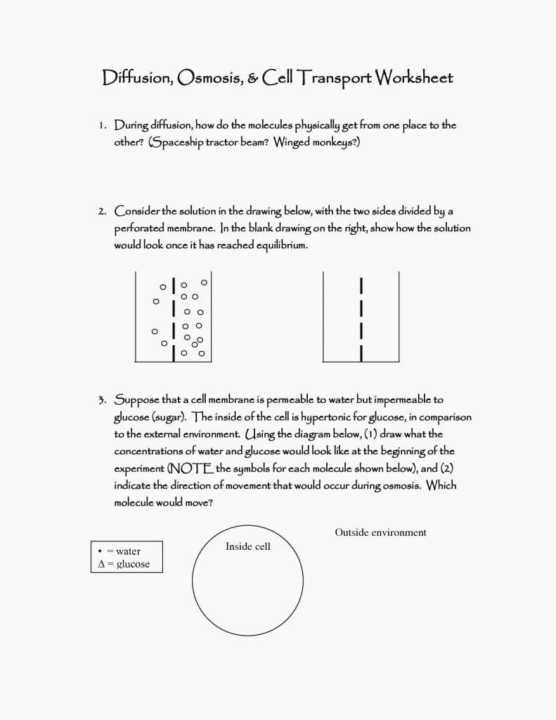 Looking Inside Cells Worksheet Answers Relevant Diffusion And Also Looking Inside Cells Worksheet Answers