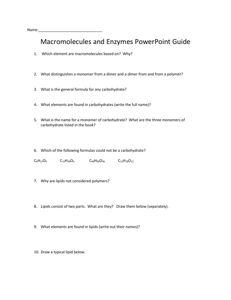 Macromolecule And Enzyme Review Worksheet With Enzymes Review Worksheet