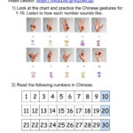 Mandarin Camp  Day 6  Interactive Worksheet Also Mandarin Practice Worksheets