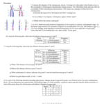Mapping Practice Throughout Gene Mapping Worksheet Answer Key