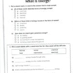 Math Worksheet Did You Hear About Answers Best Of Awesome Envision Together With Did You Hear About Worksheet