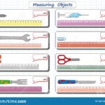 Measuring Length Of The Objects With Ruler Worksheet For Children Along With Measuring Terms Worksheet