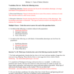 Mechanisms Of Evolution Worksheet Within Evolution By Natural Selection Worksheet Answers