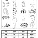 Memory Game On Body Parts Worksheet  Free Esl Printable Worksheets Together With Printable Memory Worksheets For Adults