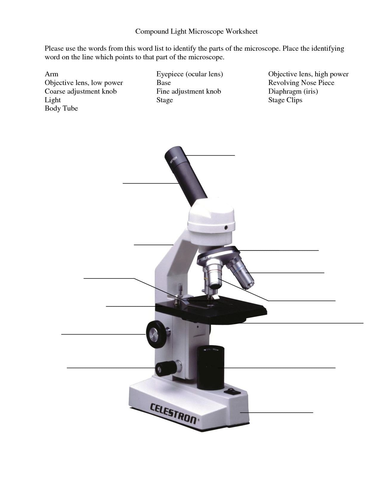 Microscope Parts And Use Worksheet Answers  Briefencounters Together With Microscope Parts And Use Worksheet