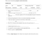 Microsoft Word  Cycles Worksheetdoc For Water Carbon And Nitrogen Cycle Worksheet Color Sheet Answers