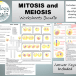 Mitosis Worksheetsbiologydomain  Teaching Resources And Getting Paid Reinforcement Worksheet Answers