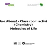 Molecules Of Life  Stem Also Molecules Of Life Worksheet