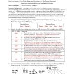Momentum And Collisions Worksheet Answer Key  Briefencounters Inside Momentum And Collisions Worksheet Answers