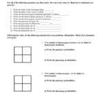 Monohybrid Crosses Practice Within Monohybrid Cross Practice Problems Worksheet