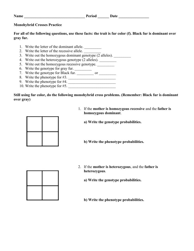 Monohybrid Crosses Practice Within Monohybrid Cross Practice Problems Worksheet