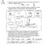 Mr Crowder's Teacher Page In Tree Ring Activity Worksheet Answers