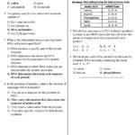 Ms Campbell Protein Synthesis Practice Questions Regents Le  Pdf In Protein Synthesis Webquest Worksheet Answer Key