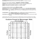 Mutations Practice Worksheet  Liberty Union High School District Together With Dna Mutations Practice Worksheet Answers