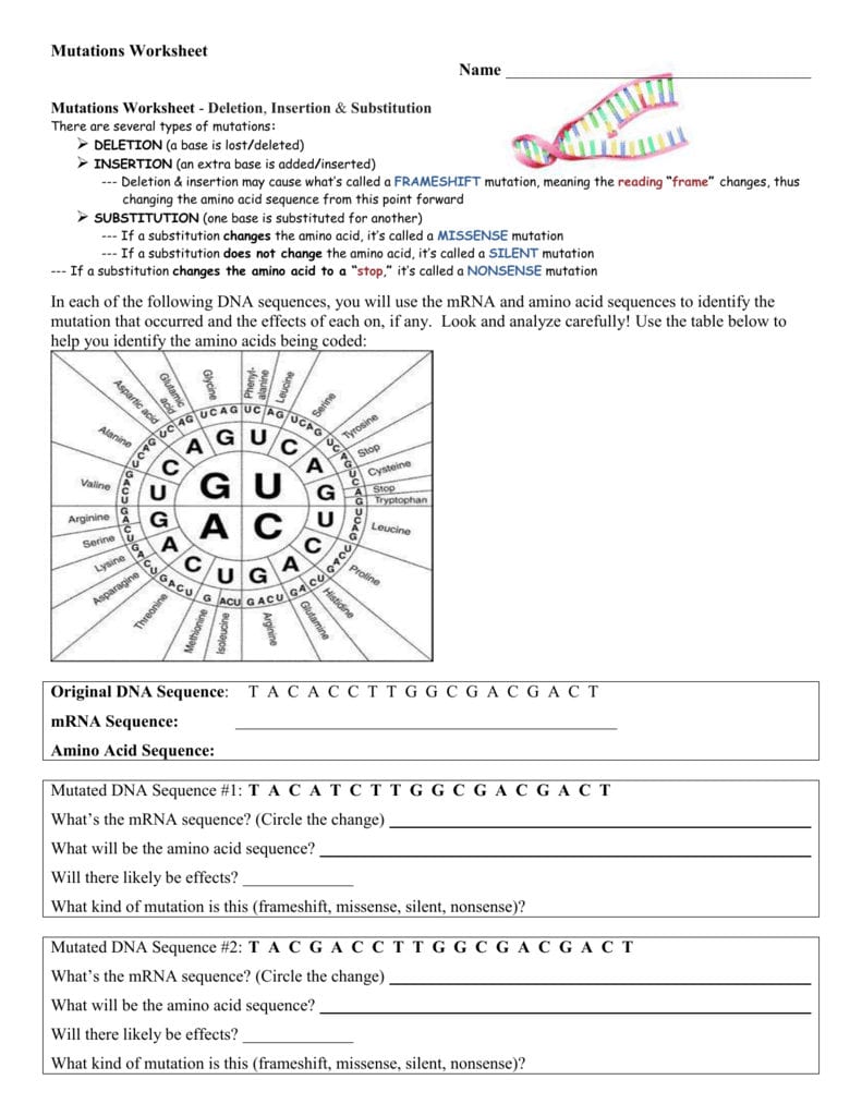 Mutations Worksheet For Mutations Worksheet Answers