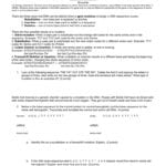 Mutations Worksheet Inside Sickle Cell Anemia Worksheet Answers