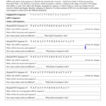 Mutations Worksheet Within Sickle Cell Anemia Worksheet Answers