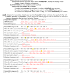 Mutations Worksheet Within Worksheet Mutations Practice