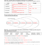 Name Also Population Community And Ecosystem Worksheet Answer Key