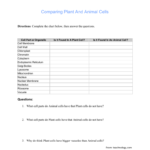 Name Comparing Plant And Animal Cells Directions Complete The With Comparing Plants Worksheet
