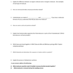 Name Period Pap Biology Biochemistry Review Explain The Within Biomolecule Review Worksheet