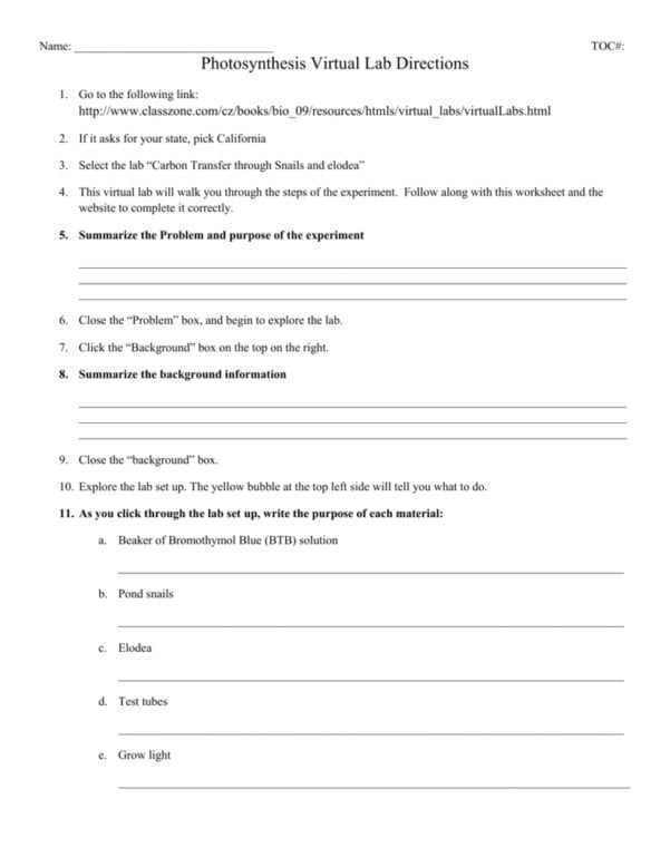 name-toc-photosynthesis-virtual-lab-directions-go-to-the-with