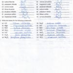 Naming Chemical Compounds Worksheet Answers Naming Ionic Pounds Also Chemfiesta Naming Chemical Compounds Worksheet