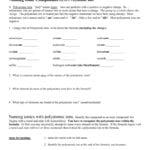 Naming Worksheet Name Ionic Compounds W Polyatomics Naming Also Polyatomic Ionic Compounds Worksheet