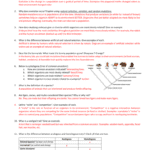 Natural Selection Quiz Review Guide Answer Key 2 Throughout Evolution And Natural Selection Worksheet Answers