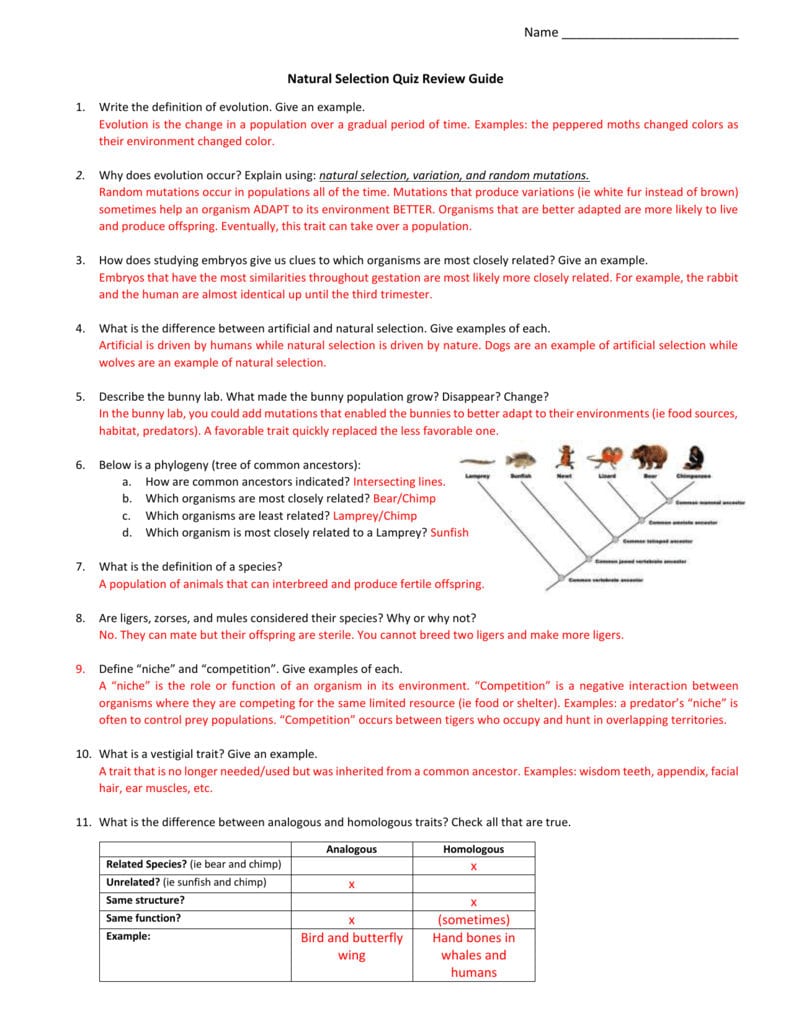 Natural Selection Quiz Review Guide Answer Key 2 Throughout Evolution And Natural Selection Worksheet Answers