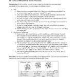Nd Lesson 22Differentiated With Neuron Simulation Worksheet Answers