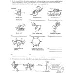 Newton's Third Law Net Force Worksheet 5 Name Or Net Force Worksheet Answer Key