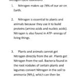 Nitrogen Cycle Homework Answer Key Or The Nitrogen Cycle Student Worksheet Answers