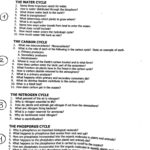 Nitrogen Cycle Worksheet Answer Key  Briefencounters Or Water Carbon And Nitrogen Cycle Worksheet Color Sheet Answers
