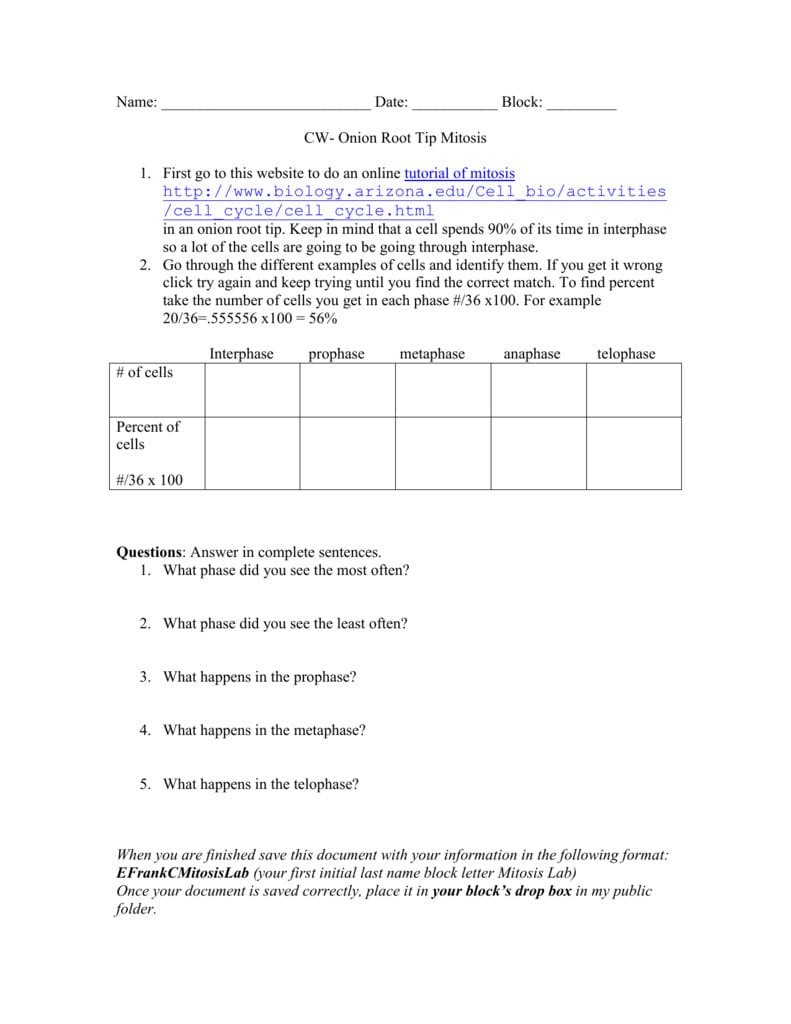 Onion Root Tip Mitosis Lab And Onion Cell Mitosis Worksheet Answers