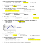Organic Compounds Test Review Key Within Organic Compounds Worksheet Answers