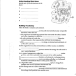 P 64 Looking Inside Cells And Inside The Cell Worksheet Answers